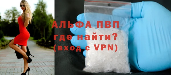 сатива Заволжье