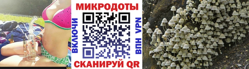 где найти наркотики MEGA сайт Псилоцибиновые грибы прущие грибы Семёнов